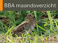 BBA maandoverzicht augustus 2025