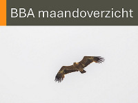 BBA maandoverzicht Juni 2025