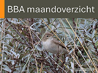 BBA maandoverzicht september 2025