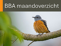 BBA maandoverzicht mei 2026