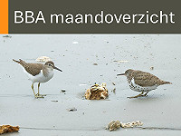 BBA maandoverzicht september 2026