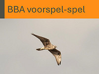 Update voorspelspel